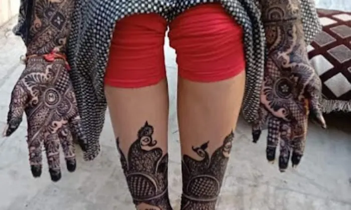 Krishna Mehndi Artist  Best Mehndi Artist in Lucknow